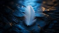 Pluma blanca sobre piedra oscura iluminada por una luz fría de amanecer