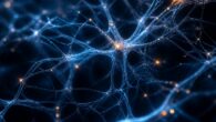 Imagen editorial: Edgar Barrero Cuellar, Medallista ALFEPSI 2017